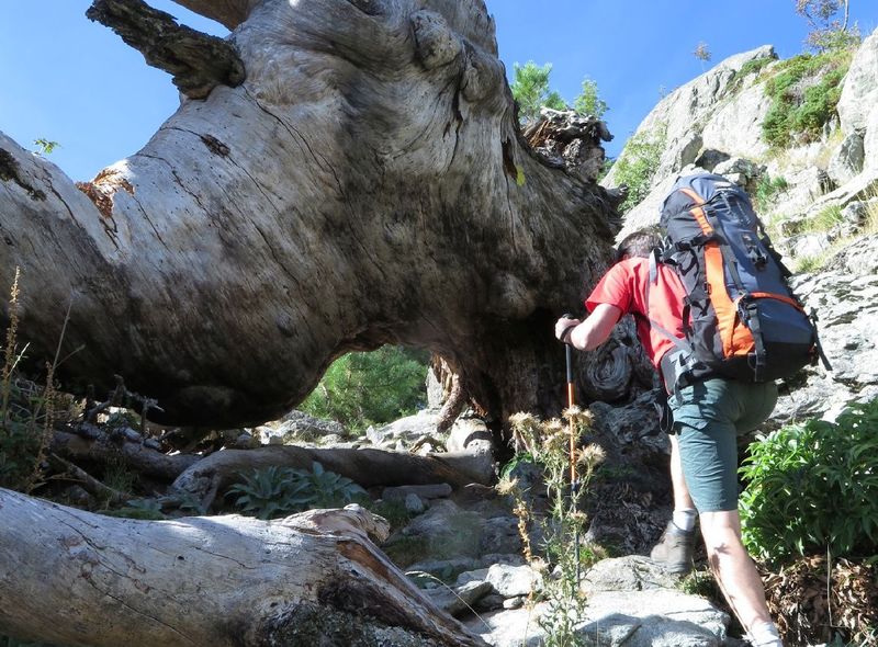 Groepsreis Corsica